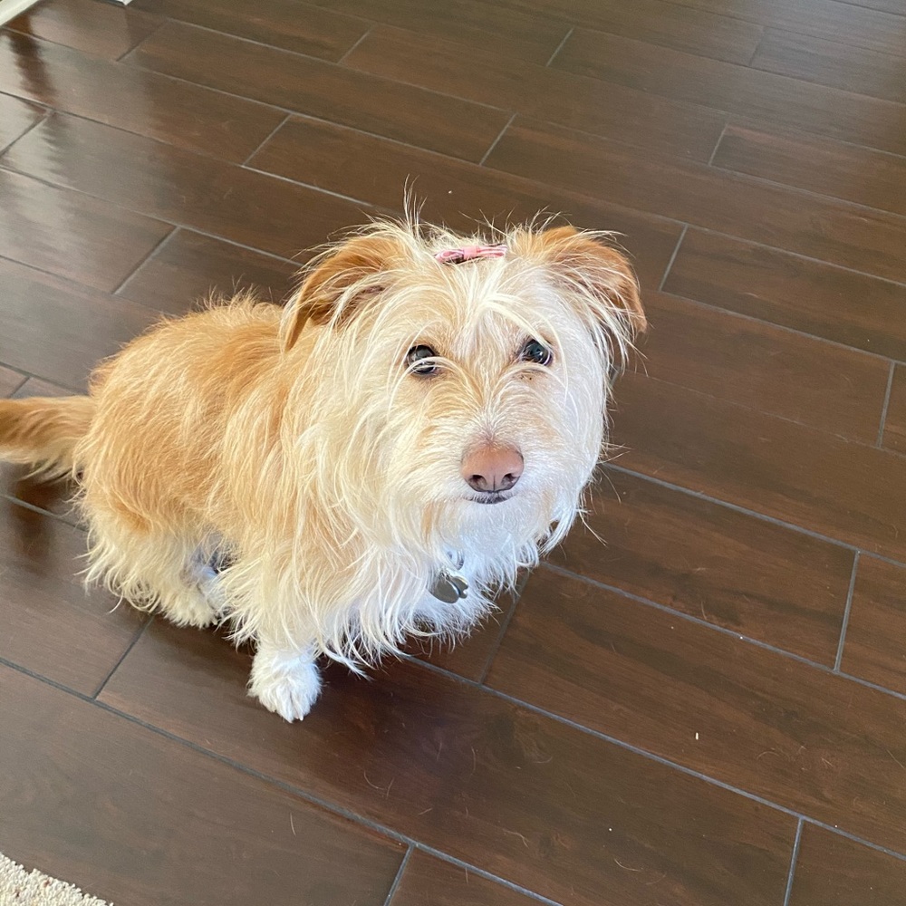 Meet your Posher, Ahlia